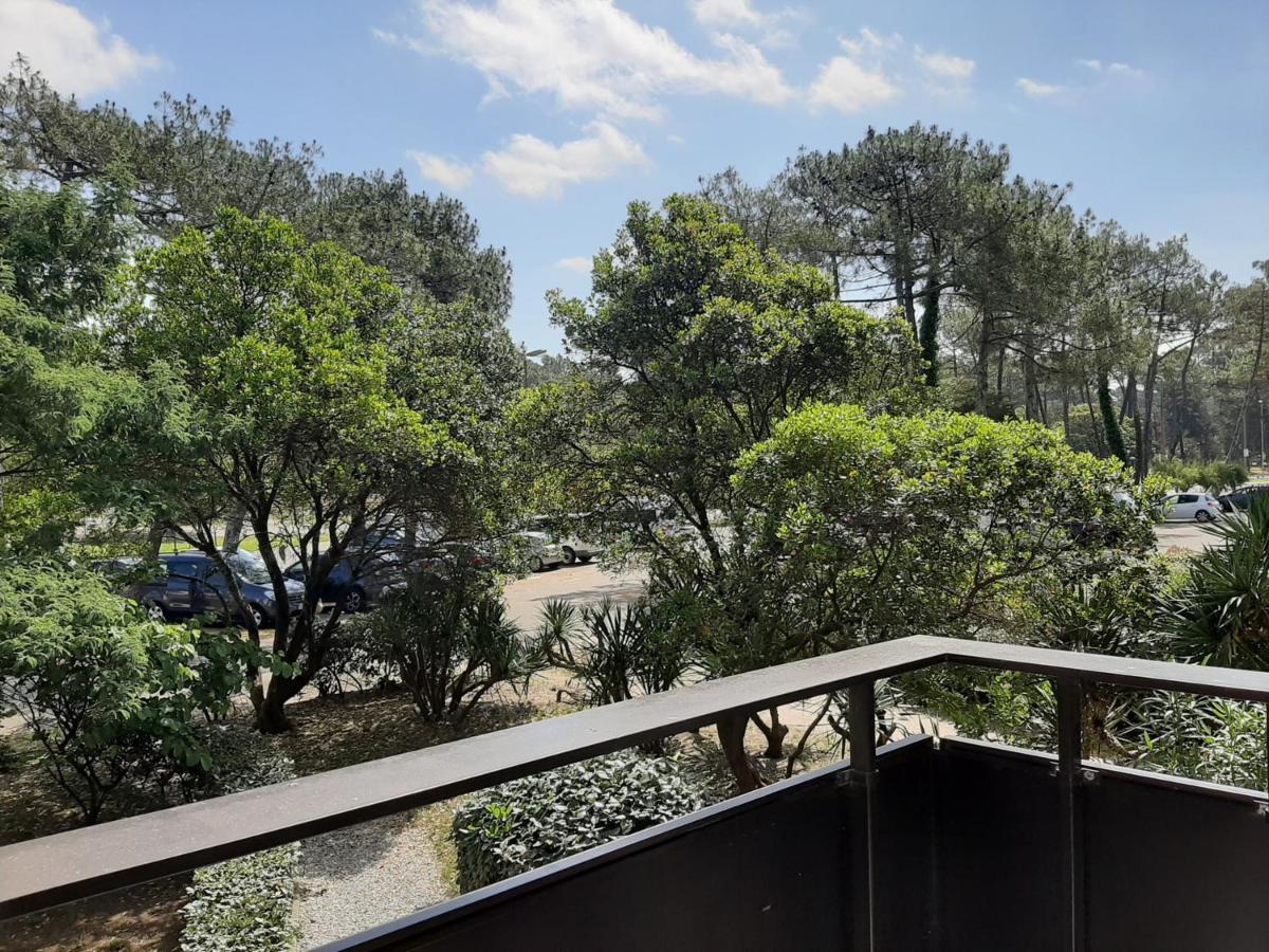 Studio Cosy Proche Ocean Et Commerces, Parfait Pour Des Vacances A Deux! - Fr-1-239-437 Seignosse Bagian luar foto