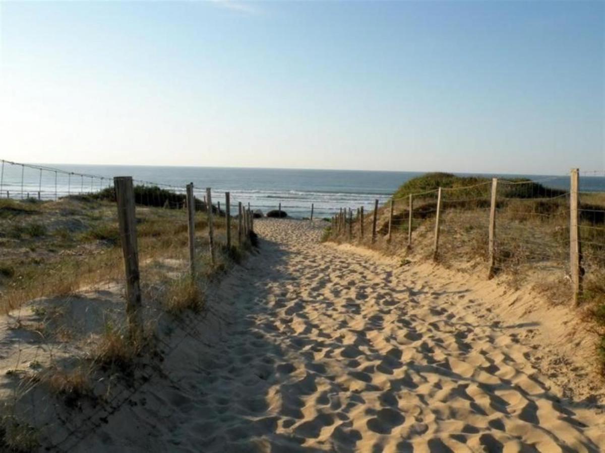 Studio Cosy Proche Ocean Et Commerces, Parfait Pour Des Vacances A Deux! - Fr-1-239-437 Seignosse Bagian luar foto